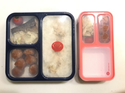 お弁当作りが嫌いな一番の理由を克服♪フードマン薄型弁当箱で楽チンな毎日に！